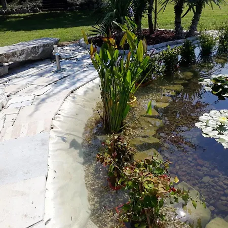 Residence Appartamenti Dogana Vecchia