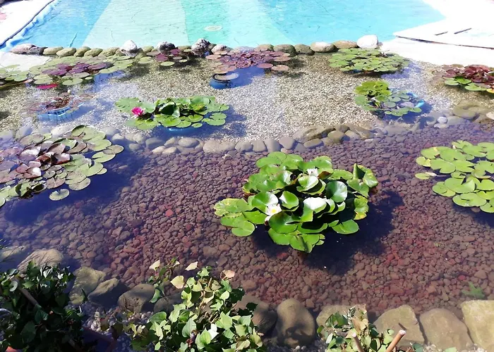 Dogana Vecchia Ξενοδοχείο με διαμερίσματα Trivignano Udinese